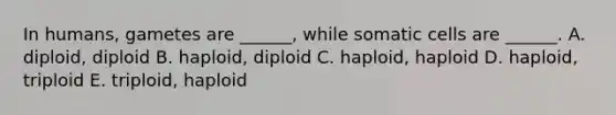 In humans, gametes are ______, while somatic cells are ______. A. diploid, diploid B. haploid, diploid C. haploid, haploid D. haploid, triploid E. triploid, haploid