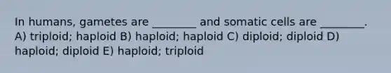 In humans, gametes are ________ and somatic cells are ________. A) triploid; haploid B) haploid; haploid C) diploid; diploid D) haploid; diploid E) haploid; triploid