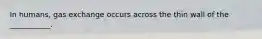 In humans, gas exchange occurs across the thin wall of the ___________.