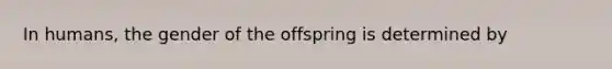 In humans, the gender of the offspring is determined by