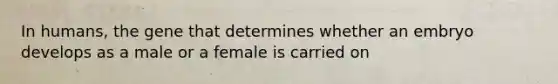 In humans, the gene that determines whether an embryo develops as a male or a female is carried on