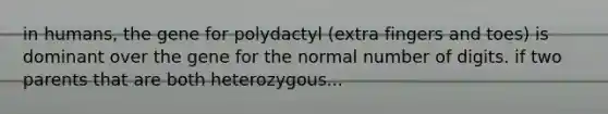 in humans, the gene for polydactyl (extra fingers and toes) is dominant over the gene for the normal number of digits. if two parents that are both heterozygous...