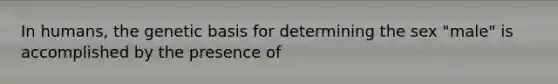 In humans, the genetic basis for determining the sex "male" is accomplished by the presence of