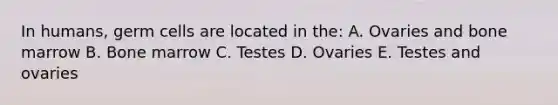 In humans, germ cells are located in the: A. Ovaries and bone marrow B. Bone marrow C. Testes D. Ovaries E. Testes and ovaries