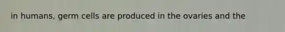 in humans, germ cells are produced in the ovaries and the