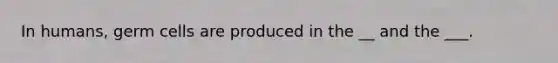 In humans, germ cells are produced in the __ and the ___.