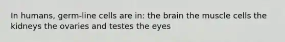 In humans, germ-line cells are in: the brain the muscle cells the kidneys the ovaries and testes the eyes