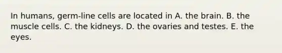 In humans, germ-line cells are located in A. the brain. B. the muscle cells. C. the kidneys. D. the ovaries and testes. E. the eyes.