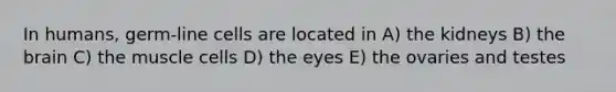 In humans, germ-line cells are located in A) the kidneys B) <a href='https://www.questionai.com/knowledge/kLMtJeqKp6-the-brain' class='anchor-knowledge'>the brain</a> C) the muscle cells D) the eyes E) the ovaries and testes