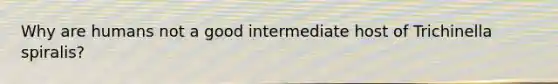 Why are humans not a good intermediate host of Trichinella spiralis?