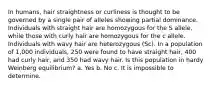 In humans, hair straightness or curliness is thought to be governed by a single pair of alleles showing partial dominance. Individuals with straight hair are homozygous for the S allele, while those with curly hair are homozygous for the c allele. Individuals with wavy hair are heterozygous (Sc). In a population of 1,000 individuals, 250 were found to have straight hair, 400 had curly hair, and 350 had wavy hair. Is this population in hardy Weinberg equilibrium? a. Yes b. No c. It is impossible to determine.