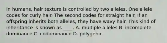 In humans, hair texture is controlled by two alleles. One allele codes for curly hair. The second codes for straight hair. If an offspring inherits both alleles, they have wavy hair. This kind of inheritance is known as ____. A. multiple alleles B. incomplete dominance C. codominance D. polygenic