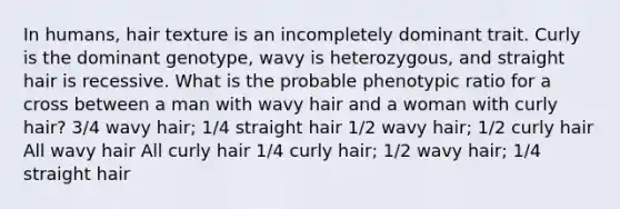 In humans, hair texture is an incompletely dominant trait. Curly is the dominant genotype, wavy is heterozygous, and straight hair is recessive. What is the probable phenotypic ratio for a cross between a man with wavy hair and a woman with curly hair? 3/4 wavy hair; 1/4 straight hair 1/2 wavy hair; 1/2 curly hair All wavy hair All curly hair 1/4 curly hair; 1/2 wavy hair; 1/4 straight hair