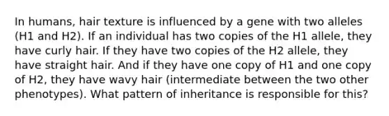 In humans, hair texture is influenced by a gene with two alleles (H1 and H2). If an individual has two copies of the H1 allele, they have curly hair. If they have two copies of the H2 allele, they have straight hair. And if they have one copy of H1 and one copy of H2, they have wavy hair (intermediate between the two other phenotypes). What pattern of inheritance is responsible for this?