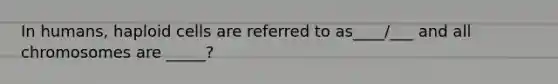In humans, haploid cells are referred to as____/___ and all chromosomes are _____?