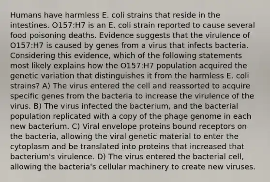 Humans have harmless E. coli strains that reside in the intestines. O157:H7 is an E. coli strain reported to cause several food poisoning deaths. Evidence suggests that the virulence of O157:H7 is caused by genes from a virus that infects bacteria. Considering this evidence, which of the following statements most likely explains how the O157:H7 population acquired the genetic variation that distinguishes it from the harmless E. coli strains? A) The virus entered the cell and reassorted to acquire specific genes from the bacteria to increase the virulence of the virus. B) The virus infected the bacterium, and the bacterial population replicated with a copy of the phage genome in each new bacterium. C) Viral envelope proteins bound receptors on the bacteria, allowing the viral genetic material to enter the cytoplasm and be translated into proteins that increased that bacterium's virulence. D) The virus entered the bacterial cell, allowing the bacteria's cellular machinery to create new viruses.