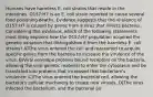 Humans have harmless E. coli strains that reside in the intestines. O157:H7 is an E. coli strain reported to cause several food poisoning deaths. Evidence suggests that the virulence of O157:H7 is caused by genes from a virus that infects bacteria. Considering this evidence, which of the following statements most likely explains how the O157:H7 population acquired the genetic variation that distinguishes it from the harmless E. coli strains? A)The virus entered the cell and reassorted to acquire specific genes from the bacteria to increase the virulence of the virus. B)Viral envelope proteins bound receptors on the bacteria, allowing the viral genetic material to enter the cytoplasm and be translated into proteins that increased that bacterium's virulence. C)The virus entered the bacterial cell, allowing the bacteria's cellular machinery to create new viruses. D)The virus infected the bacterium, and the bacterial po