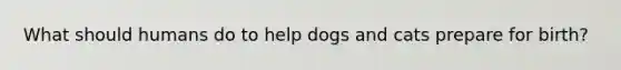 What should humans do to help dogs and cats prepare for birth?