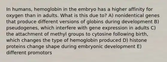 In humans, hemoglobin in the embryo has a higher affinity for oxygen than in adults. What is this due to? A) nonidentical genes that produce different versions of globins during development B) pseudogenes, which interfere with gene expression in adults C) the attachment of methyl groups to cytosine following birth, which changes the type of hemoglobin produced D) histone proteins change shape during embryonic development E) different promotors