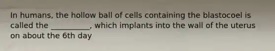 In humans, the hollow ball of cells containing the blastocoel is called the __________, which implants into the wall of the uterus on about the 6th day