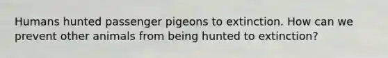 Humans hunted passenger pigeons to extinction. How can we prevent other animals from being hunted to extinction?