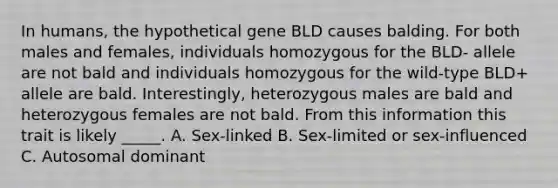 In humans, the hypothetical gene BLD causes balding. For both males and females, individuals homozygous for the BLD- allele are not bald and individuals homozygous for the wild-type BLD+ allele are bald. Interestingly, heterozygous males are bald and heterozygous females are not bald. From this information this trait is likely _____. A. Sex-linked B. Sex-limited or sex-influenced C. Autosomal dominant