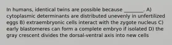 In humans, identical twins are possible because ________. A) cytoplasmic determinants are distributed unevenly in unfertilized eggs B) extraembryonic cells interact with the zygote nucleus C) early blastomeres can form a complete embryo if isolated D) the gray crescent divides the dorsal-ventral axis into new cells