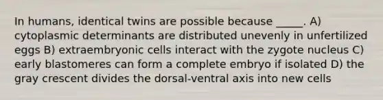 In humans, identical twins are possible because _____. A) cytoplasmic determinants are distributed unevenly in unfertilized eggs B) extraembryonic cells interact with the zygote nucleus C) early blastomeres can form a complete embryo if isolated D) the gray crescent divides the dorsal-ventral axis into new cells