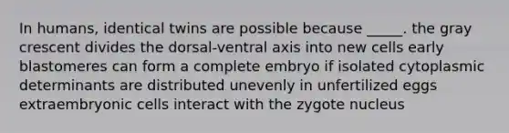 In humans, identical twins are possible because _____. the gray crescent divides the dorsal-ventral axis into new cells early blastomeres can form a complete embryo if isolated cytoplasmic determinants are distributed unevenly in unfertilized eggs extraembryonic cells interact with the zygote nucleus