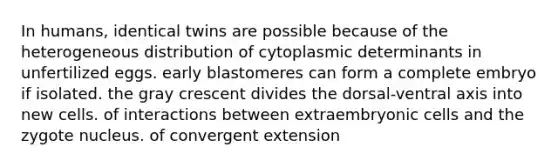 In humans, identical twins are possible because of the heterogeneous distribution of cytoplasmic determinants in unfertilized eggs. early blastomeres can form a complete embryo if isolated. the gray crescent divides the dorsal-ventral axis into new cells. of interactions between extraembryonic cells and the zygote nucleus. of convergent extension