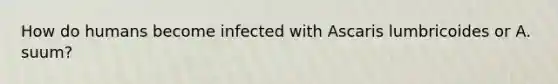 How do humans become infected with Ascaris lumbricoides or A. suum?