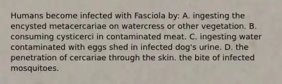 Humans become infected with Fasciola by: A. ingesting the encysted metacercariae on watercress or other vegetation. B. consuming cysticerci in contaminated meat. C. ingesting water contaminated with eggs shed in infected dog's urine. D. the penetration of cercariae through the skin. the bite of infected mosquitoes.