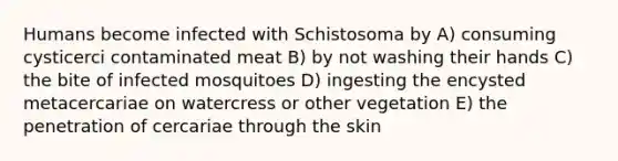 Humans become infected with Schistosoma by A) consuming cysticerci contaminated meat B) by not washing their hands C) the bite of infected mosquitoes D) ingesting the encysted metacercariae on watercress or other vegetation E) the penetration of cercariae through the skin