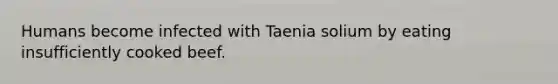 Humans become infected with Taenia solium by eating insufficiently cooked beef.