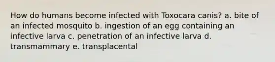 How do humans become infected with Toxocara canis? a. bite of an infected mosquito b. ingestion of an egg containing an infective larva c. penetration of an infective larva d. transmammary e. transplacental