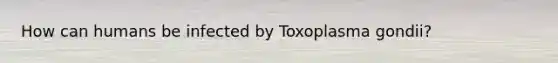 How can humans be infected by Toxoplasma gondii?