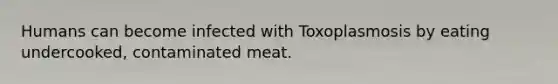 Humans can become infected with Toxoplasmosis by eating undercooked, contaminated meat.