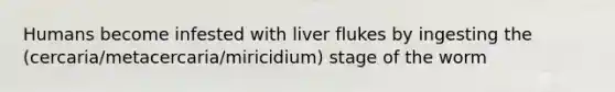 Humans become infested with liver flukes by ingesting the (cercaria/metacercaria/miricidium) stage of the worm