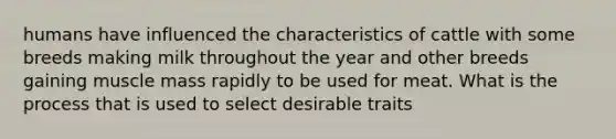 humans have influenced the characteristics of cattle with some breeds making milk throughout the year and other breeds gaining muscle mass rapidly to be used for meat. What is the process that is used to select desirable traits