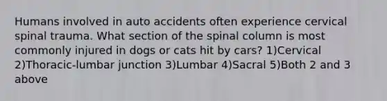 Humans involved in auto accidents often experience cervical spinal trauma. What section of the spinal column is most commonly injured in dogs or cats hit by cars? 1)Cervical 2)Thoracic-lumbar junction 3)Lumbar 4)Sacral 5)Both 2 and 3 above