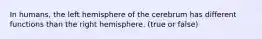 In humans, the left hemisphere of the cerebrum has different functions than the right hemisphere. (true or false)