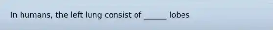 In humans, the left lung consist of ______ lobes