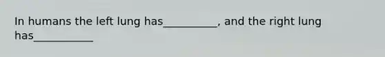 In humans the left lung has__________, and the right lung has___________
