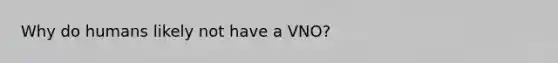 Why do humans likely not have a VNO?