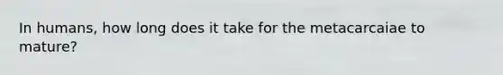 In humans, how long does it take for the metacarcaiae to mature?