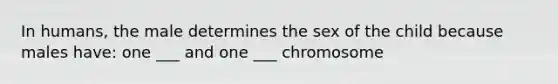 In humans, the male determines the sex of the child because males have: one ___ and one ___ chromosome