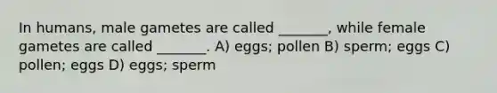 In humans, male gametes are called _______, while female gametes are called _______. A) eggs; pollen B) sperm; eggs C) pollen; eggs D) eggs; sperm