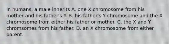 In humans, a male inherits A. one X chromosome from his mother and his father's Y. B. his father's Y chromosome and the X chromosome from either his father or mother. C. the X and Y chromsomes from his father. D. an X chromosome from either parent.