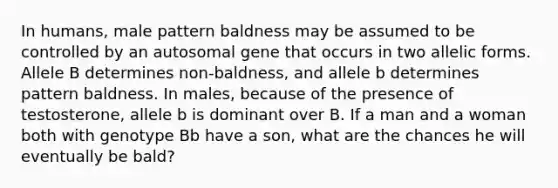 In humans, male pattern baldness may be assumed to be controlled by an autosomal gene that occurs in two allelic forms. Allele B determines non-baldness, and allele b determines pattern baldness. In males, because of the presence of testosterone, allele b is dominant over B. If a man and a woman both with genotype Bb have a son, what are the chances he will eventually be bald?