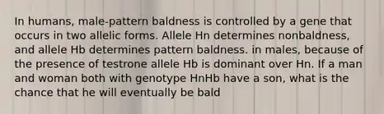 In humans, male-pattern baldness is controlled by a gene that occurs in two allelic forms. Allele Hn determines nonbaldness, and allele Hb determines pattern baldness. in males, because of the presence of testrone allele Hb is dominant over Hn. If a man and woman both with genotype HnHb have a son, what is the chance that he will eventually be bald